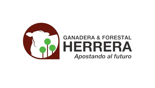 gyfherrera AIAP